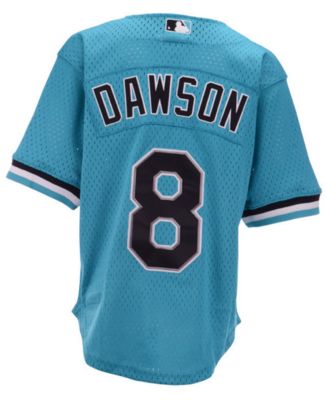 Mitchell & Ness Big Boys Andre Dawson Miami Marlins Mesh V-Neck Player ...