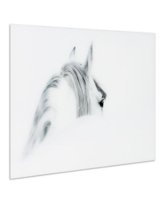 'Blanco Mare Horse' Frameless Free Floating Tempered Glass Panel Graphic Wall Art - 48" x 32''