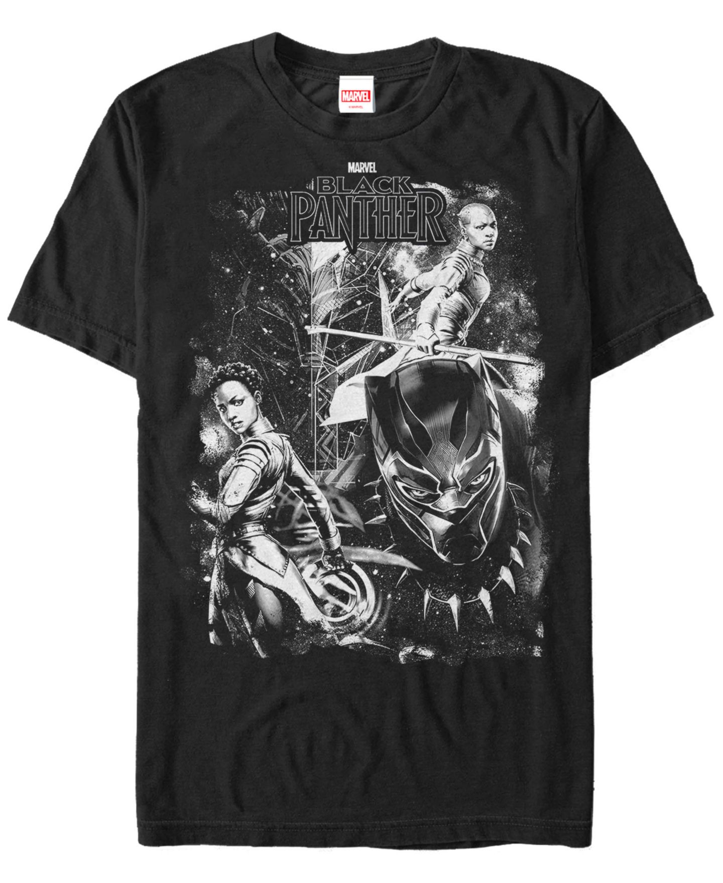 Мужская футболка Fifth Sun Marvel Black Panther Group Action Pose Short Sleeve, цвет: Чёрный — фото 1