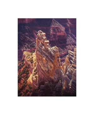 Trademark Global R W Hedge Heart Of Gold Canyon Canvas Art In Multi