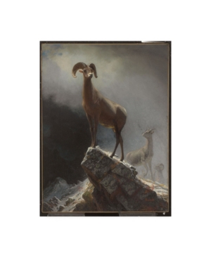 Trademark Global Albert Bierstadt Rocky Mountain Sheep Or Big Horn, Ovis, Montana Canvas Art In Multi