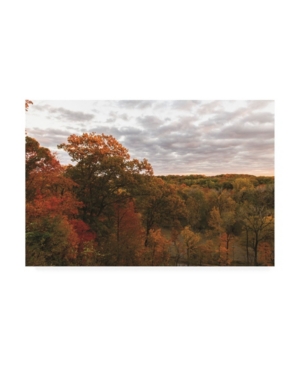 Trademark Global Kurt Shaffer Photographs Colors Of Autumn At Sunset Canvas Art In Multi