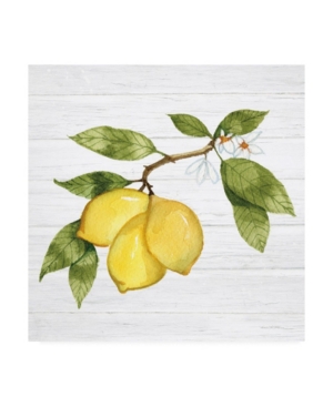 Kathleen Parr McKenna Citrus Garden I Shiplap Canvas Art - 155
