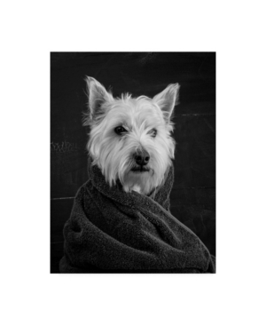 Trademark Global Edward M. Fieldin Portrait Of A Westy Dog Canvas Art In Multi