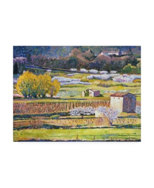 Trademark Global David Lloyd Glover Provence Spring Canvas Art In Multi