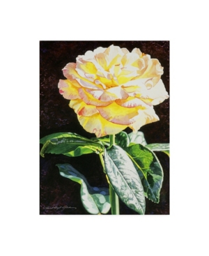 Trademark Global David Lloyd Glover Midnight Rose Canvas Art In Multi