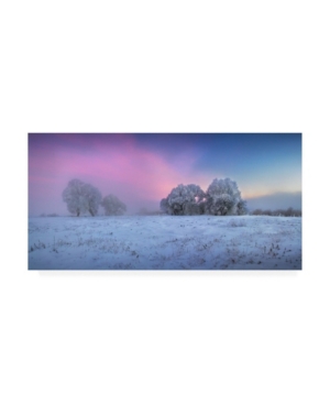 Trademark Global Sergei Shabunevich Trees Covered In Snow Canvas Art In Multi