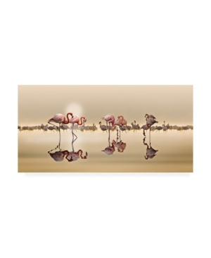 Trademark Global Nasser Osman Flamingos Reflection Canvas Art In Multi