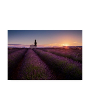 Trademark Global Donald Luo Provence Lavender Canvas Art In Multi