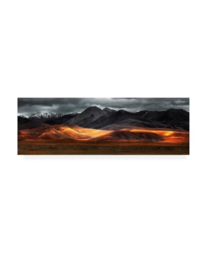 Trademark Global Selinos Pano Canvas Art In Multi