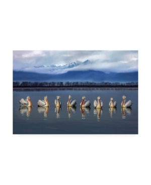 Trademark Global Xavier Ortega Dalmatian Pelicans Meeting Canvas Art In Multi