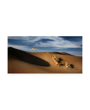 Trademark Global Wael Onsy The Sand Gazelle Canvas Art In Multi