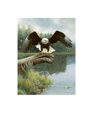 Michael Budden Majestic Showers Canvas Art - 20