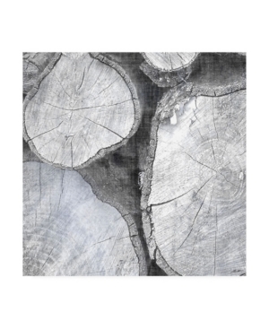 John Butler Logging Light Ii Canvas Art - 15
