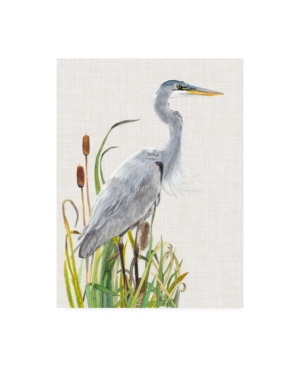 Trademark Global Naomi Mccavitt Water Birds And Cattails I Canvas Art In Multi