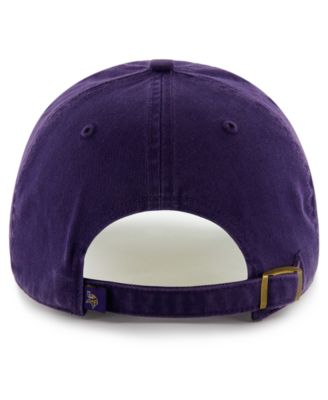 NFL Hat, Minnesota Vikings Franchise Hat