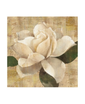 Trademark Global Albena Hristova Gardenia Blossom On Script Canvas Art In Multi
