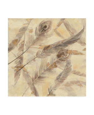 Trademark Global Albena Hristova Falling Feathers Canvas Art In Multi