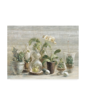 Trademark Global Danhui Nai Greenhouse Orchids On Wood Canvas Art In Multi