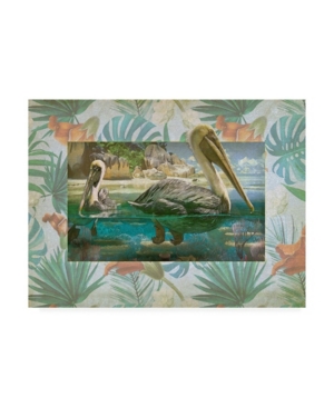 Trademark Global Steve Hunziker Pelican Paradise V Canvas Art In Multi