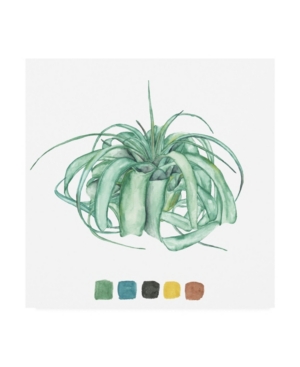 Melissa Wang Air Plant Study I Canvas Art - 155