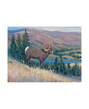 Trademark Global Tim O'toole Animals Of The West Iii Canvas Art In Multi