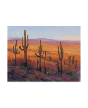 Trademark Global Tim Otoole Desert Light I Canvas Art In Multi