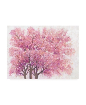 Trademark Global Tim Otoole Pink Cherry Blossom Tree I Canvas Art In Multi