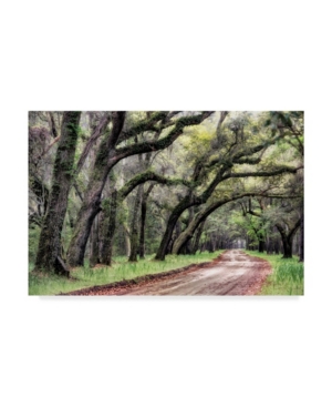 Danny Head Dirt Road Ii Canvas Art - 20