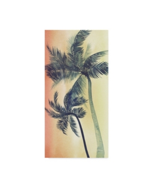 Trademark Global Grace Popp Vintage Palms I Canvas Art In Multi