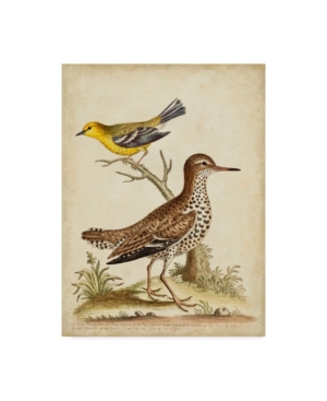 Trademark Global George Edwards Antique Bird Menagerie I Canvas Art In Multi