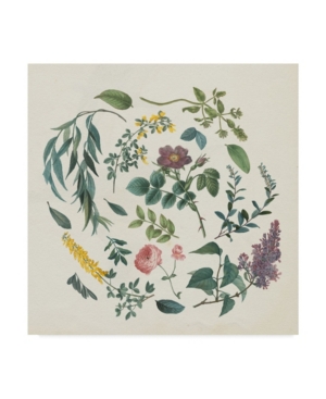 Wild Apple Portfolio Victorian Garden I Canvas Art - 15