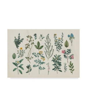Wild Apple Portfolio Victorian Garden Iii Canvas Art - 20