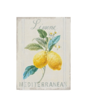 Trademark Global Danhui Nai Floursack Lemon Iii Canvas Art In Multi