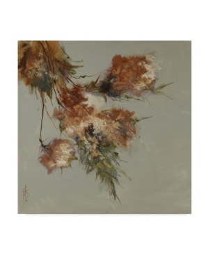 Trademark Global Anne Farrall Doyle Rusty Spring Blossoms Iii Canvas Art In Multi