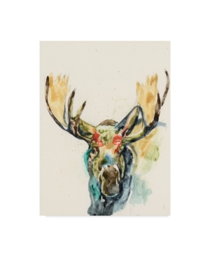 Trademark Global Jennifer Goldberger Hi Fi Wildlife I Canvas Art In Multi