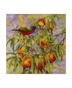 Trademark Global Marcia Matcham Painted Bunting And Peaches Canvas Art In Multi