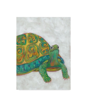 Trademark Global Chariklia Zarris Turtle Friends I Canvas Art In Multi
