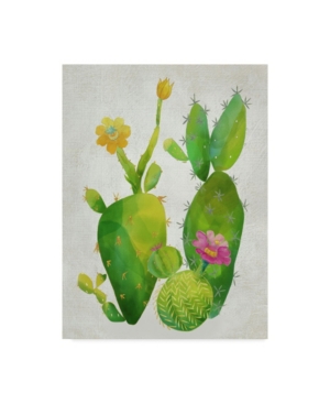 Trademark Global Chariklia Zarris Cacti Collection Ii Canvas Art In Multi
