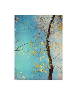 Trademark Global Judy Stalus Autumn Tapestry Iii Canvas Art In Multi