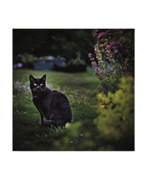 Trademark Global Christine Sainte-laudy Black Cat In The Garden Canvas Art In Multi