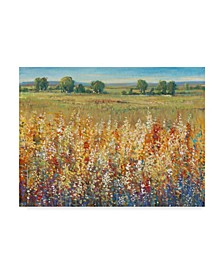 Tim Otoole Gold and Red Field I Canvas Art - 15" x 20"
