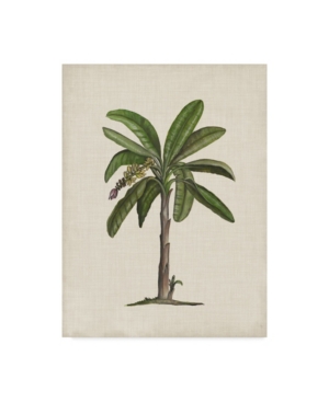 Trademark Global Naomi Mccavitt British Palms Ii Canvas Art In Multi