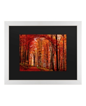Trademark Global Philippe Sainte-laudy The Red Way Matted Framed Art In Multi