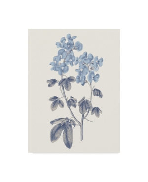 Wild Apple Portfolio Blue Botanical Iii Canvas Art - 20
