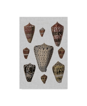 Trademark Global Denis Diderot Shell Display I Canvas Art In Multi