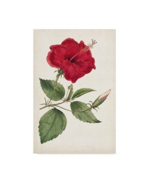 Curtis Curtis Garden Beauties Iii Canvas Art - 20