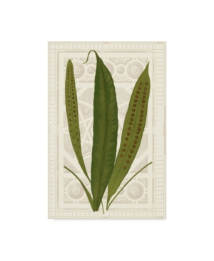 Vision Studio Garden Ferns Vi Canvas Art - 20