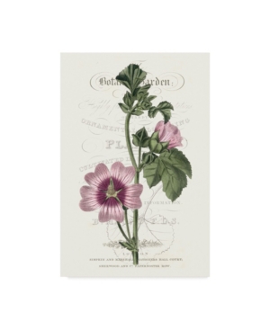 Vision Studio Flower Garden Varietals Iv Canvas Art - 20