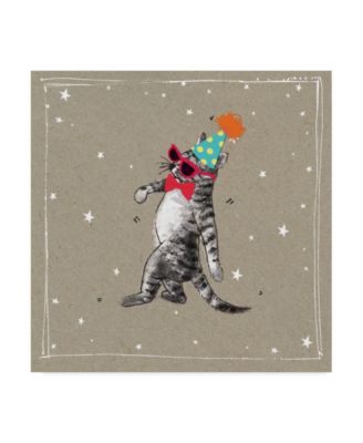 fancy pants for cats